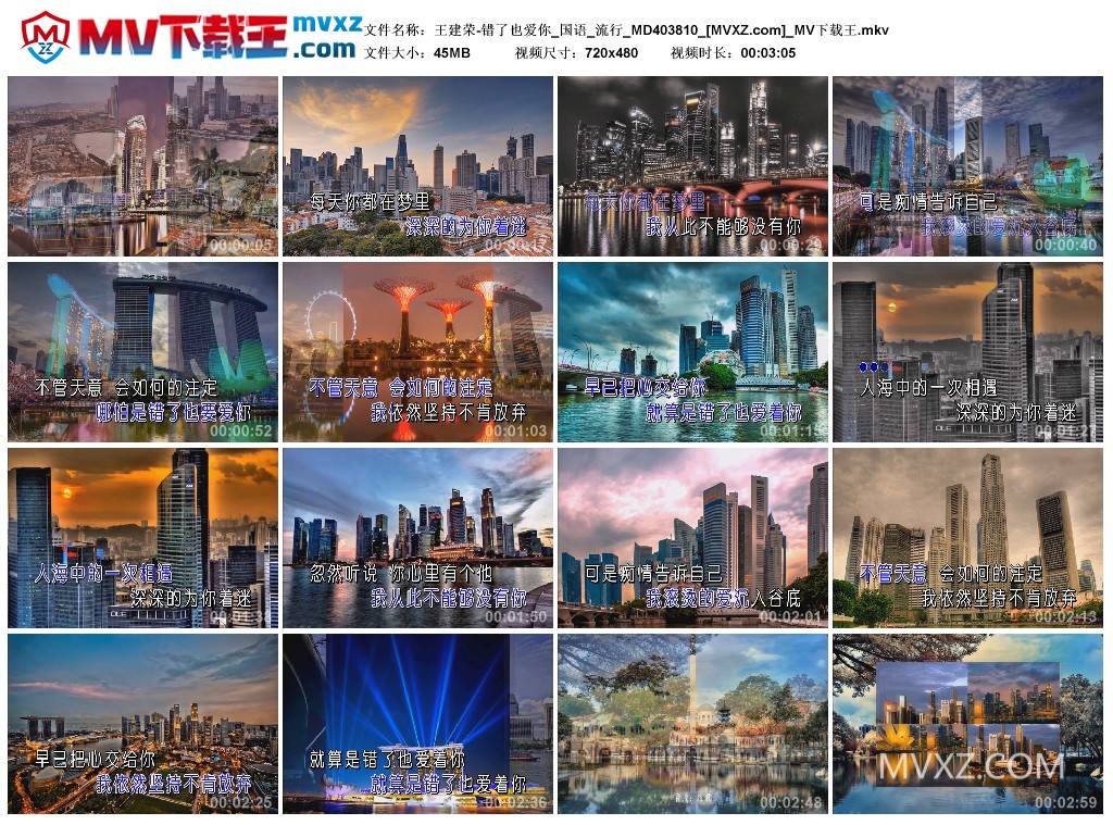 王建荣-错了也爱你_国语_流行_MD403810